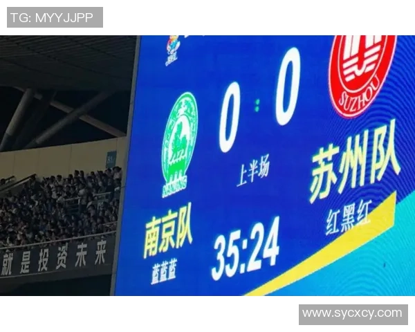 南京排球队技术争议引发热议球迷与专家的观点碰撞