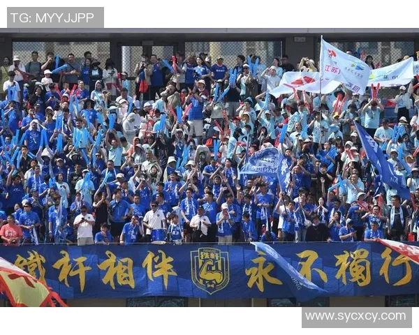 南京攀岩队个人能力分析与提升策略探讨