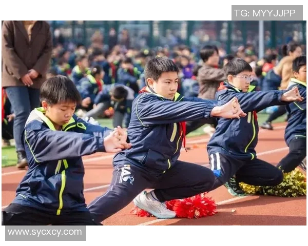 南京网球队实力深度解析与对比分析