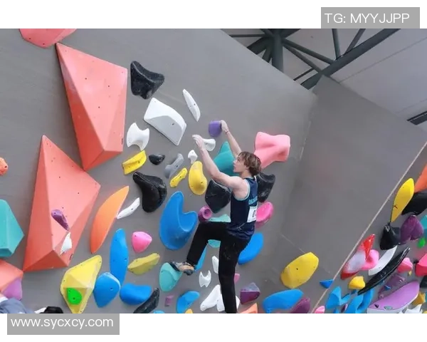 南京飞盘队在世界攀岩锦标赛中的战术表现分析与点评