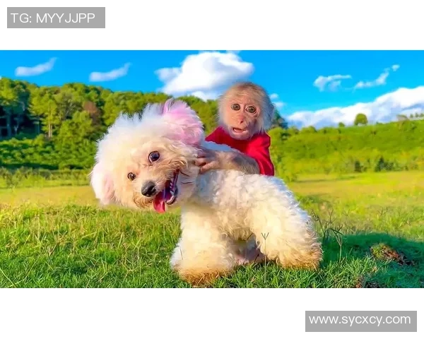 足球明星与爱犬的欢乐时光精彩瞬间集锦视频分享 足球明星与爱犬的欢乐时光精彩瞬间集锦视频分享